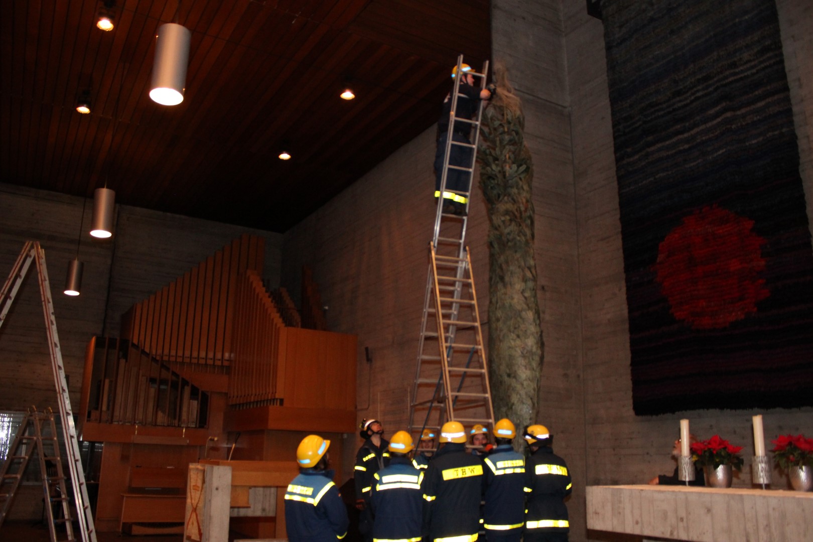 IMG 8134 (Large)